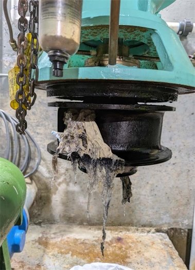 Think before you flush