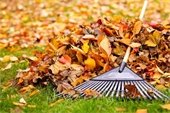2023 Fall Yard Waste Pick-Up Dates