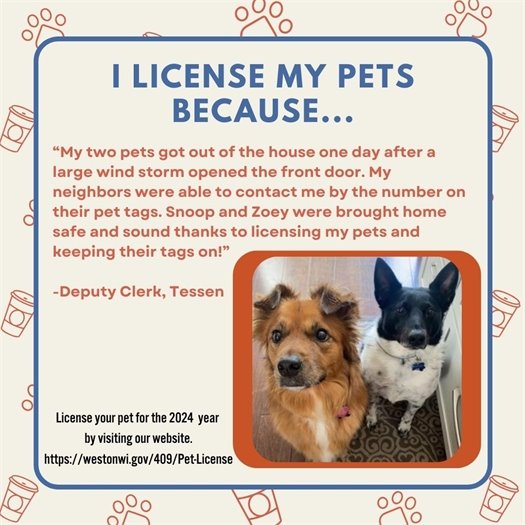 License Your Pet