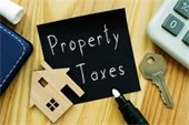Property Taxes