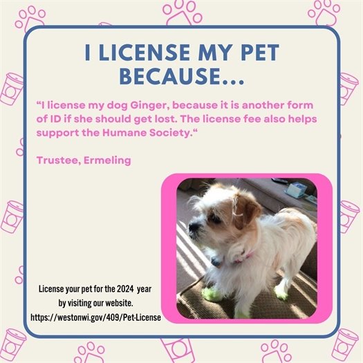 License Your Pet
