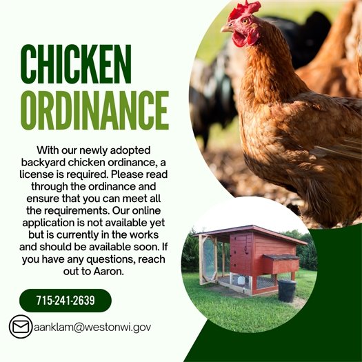 Backyard Residential Chicken Ordinance