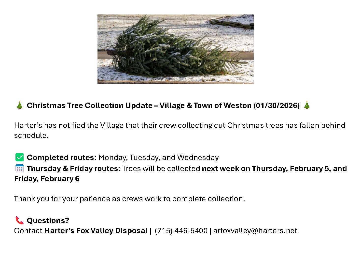 Christmas Tree Collection Update